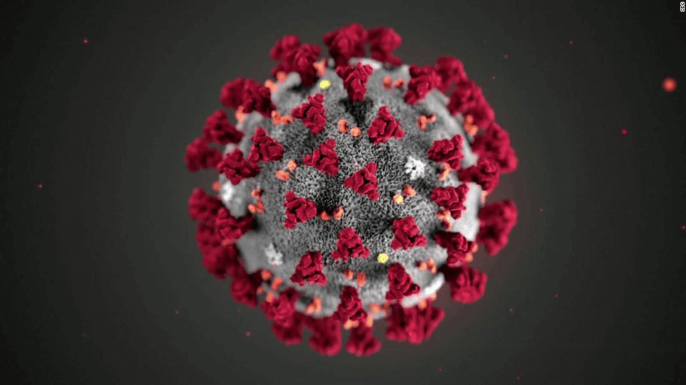 Covid-19 virus